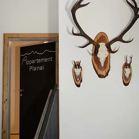 Almnest Apartmán