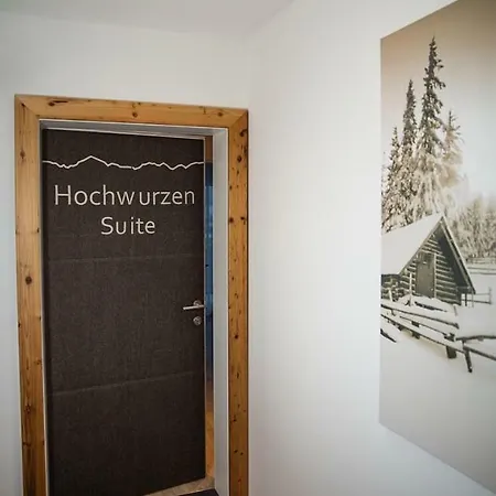 Almnest Schladming