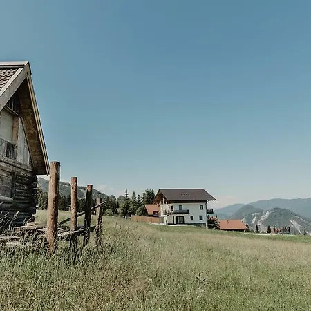 Almnest * Schladming