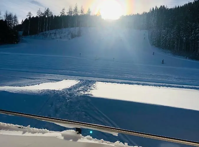 Almnest Daire Schladming