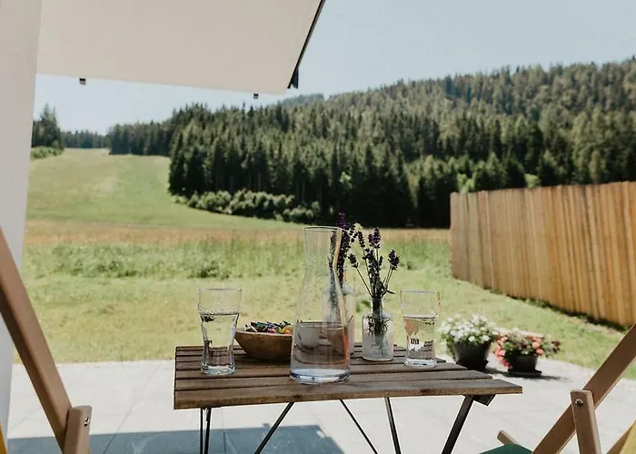 Almnest * Schladming