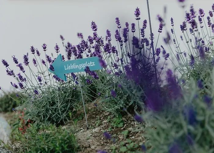 Almnest * Schladming